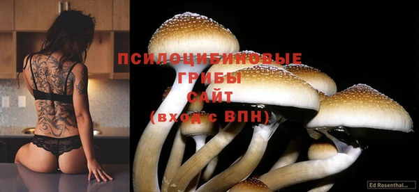 бутират Алексеевка